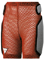 ������ ����� Dainese ��� ������������