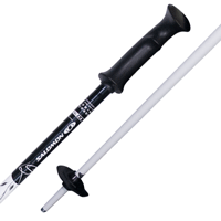 ����� ����������� ����� Salomon ��� ������� ������