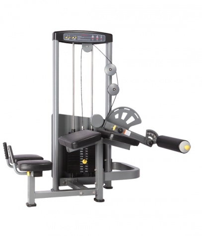 ������� ��������� ����� Bronze Gym �� ����� ������� ���������