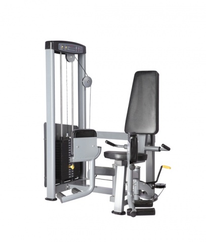 ������� ��������� ����� Bronze Gym �� ����� ������� ���������