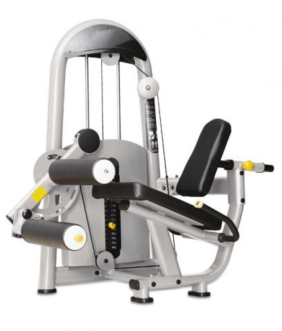 ������� ��������� ����� Bronze Gym �� ����� ������� ���������