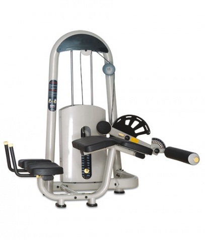 ������� ��������� ����� Bronze Gym �� ����� ������� ���������