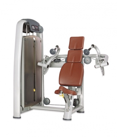 ������� ��������� ����� Bronze Gym �� ����� ������� ���������