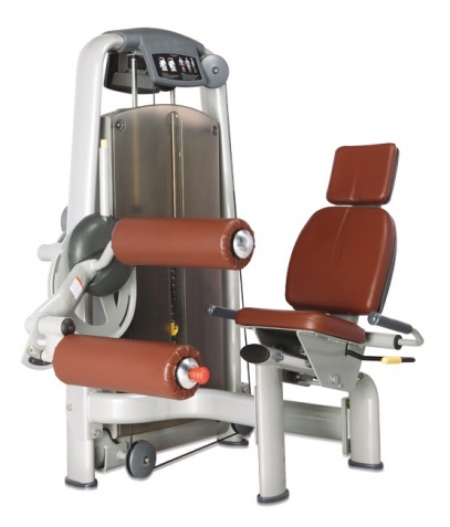 ������� ��������� ����� Bronze Gym �� ����� ������� ���������