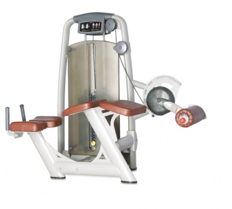 ������� ��������� ����� Bronze Gym �� ����� ������� ���������