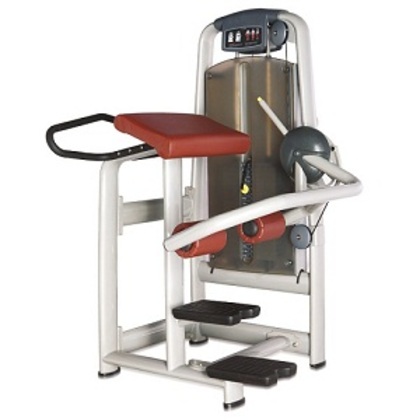 ������� ��������� ����� Bronze Gym �� ����� ������� ���������