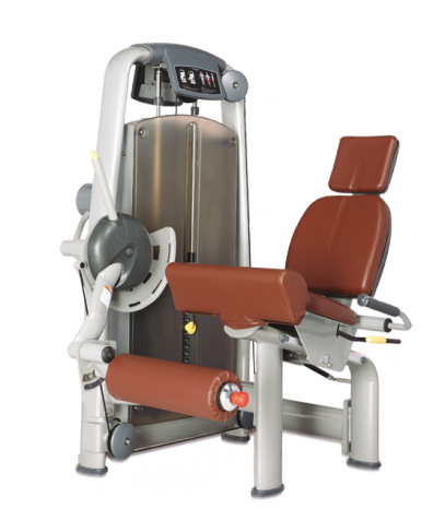 ������� ��������� ����� Bronze Gym �� ����� ������� ���������