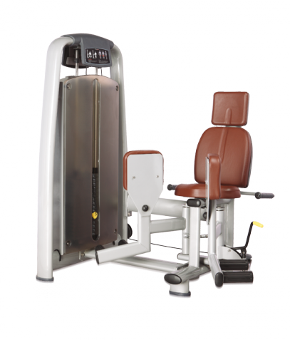 ������� ��������� ����� Bronze Gym �� ����� ������� ���������