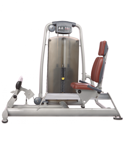 ������� ��������� ����� Bronze Gym �� ����� ������� ���������