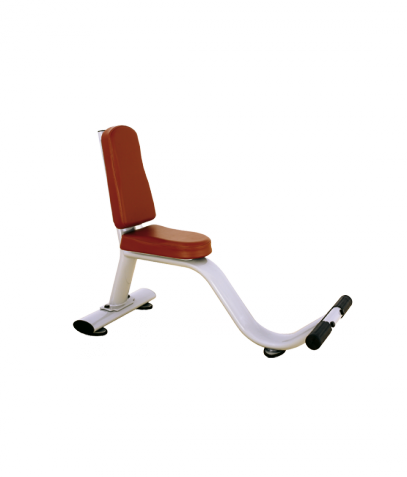 ������ ����� Bronze Gym �� ����� ������� ���������