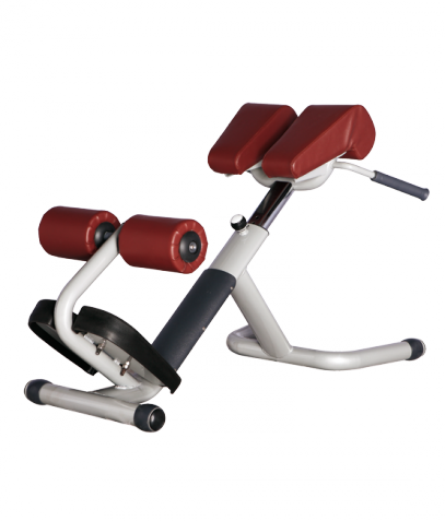 ������ ����� Bronze Gym �� ����� ������� ���������