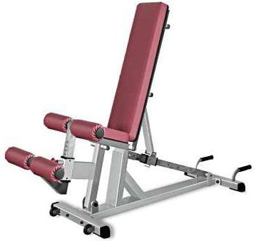 ������ ����� Body Solid �� ����� ������� ���������