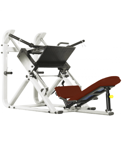 ������� ��������� ����� Bronze Gym �� ����� ������� ���������