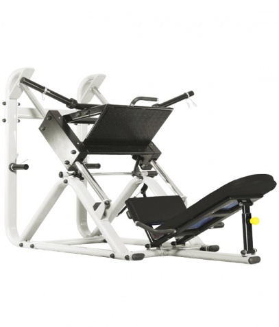 ������� ��������� ����� Bronze Gym �� ����� ������� ���������