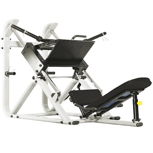 ������� ��������� ����� Bronze Gym �� ����� ������� ���������