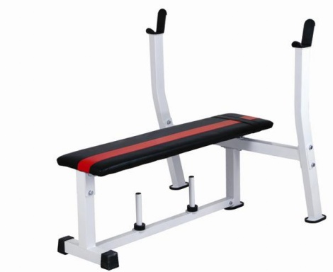 Стойки фирмы Ferrum из серии силовых тренажёров Стойки фирмы Ferrum из серии силовых тренажёров