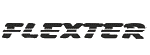 фирма Флекстер Flexter фирма Flexter/Flexter